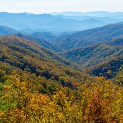 Smoky Mountain View